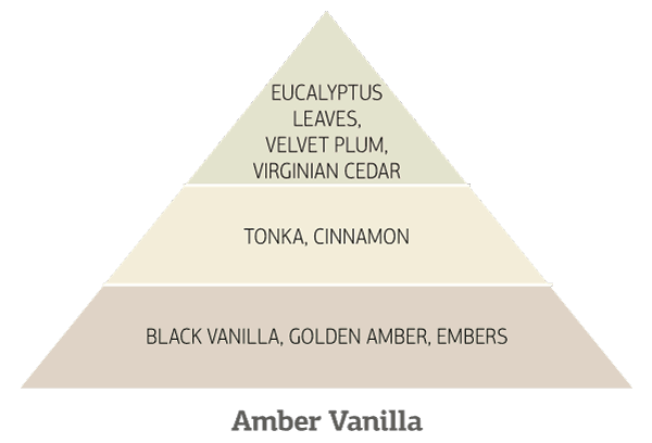 Amber-Vanilla