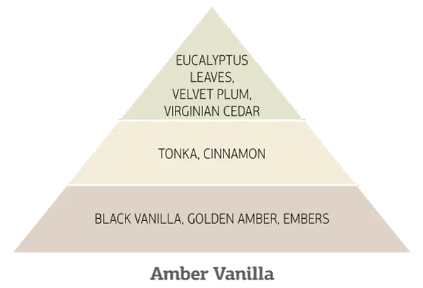 Amber-Vanilla