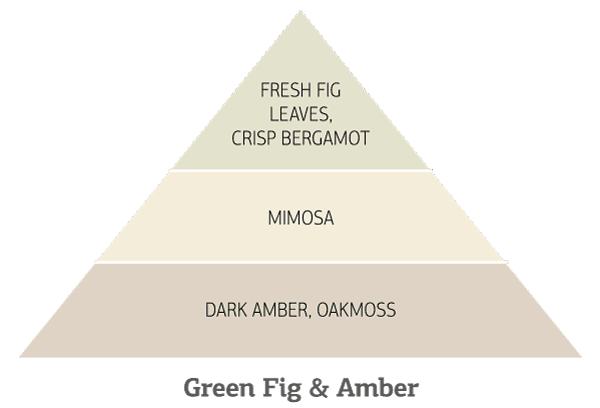 Green-Fig-&-Amber
