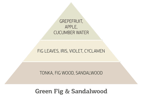 Green-Fig-&-Sandalwood