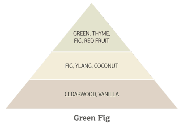Green-Fig