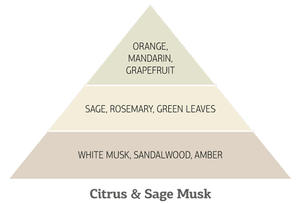 Αρωματική πυραμίδα Citrus & Sage Musk