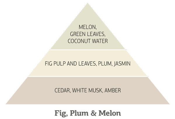 Νότες αρώματος: πεπόνι, σύκο, δαμάσκηνο, κεχριμπάρι.