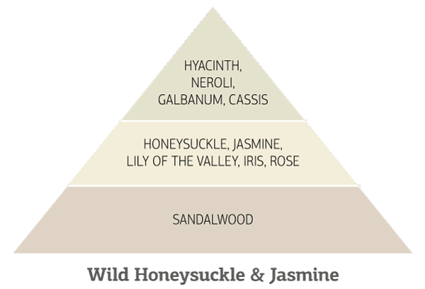 Τρίγωνο αρωμάτων με υάκινθο, σανδαλόξυλο, γιασεμί.