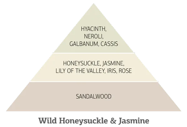 Τρίγωνο αρωμάτων με υάκινθο, σανδαλόξυλο, γιασεμί.