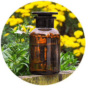 Γυάλινο βάζο με λουλούδια στον κήπο.