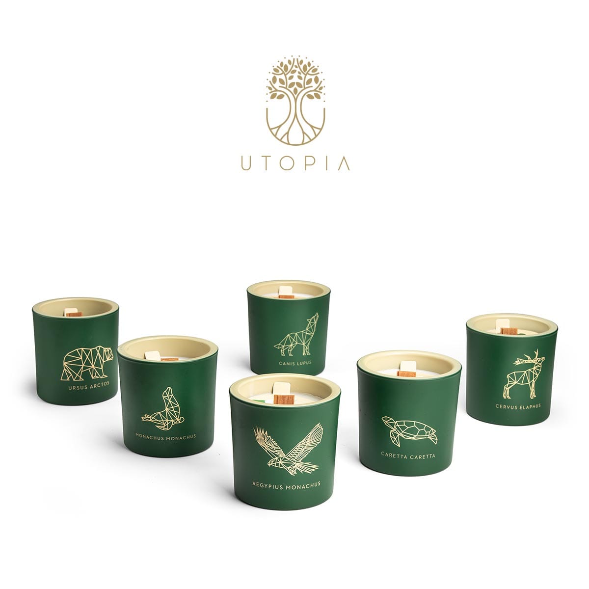 Πράσινα κεριά με σχέδια ζώων και το λογότυπο Utopia