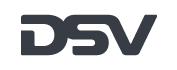 dsv logo
