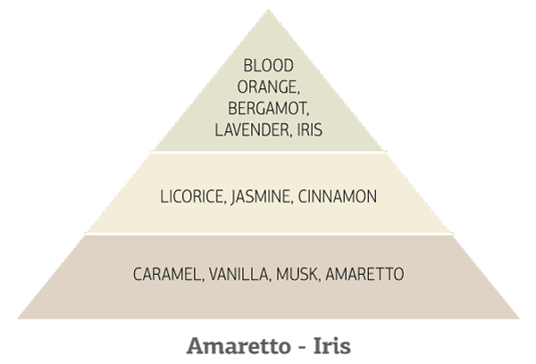 Πυραμίδα αρωμάτων Amaretto Iris με νότες λουλουδιών