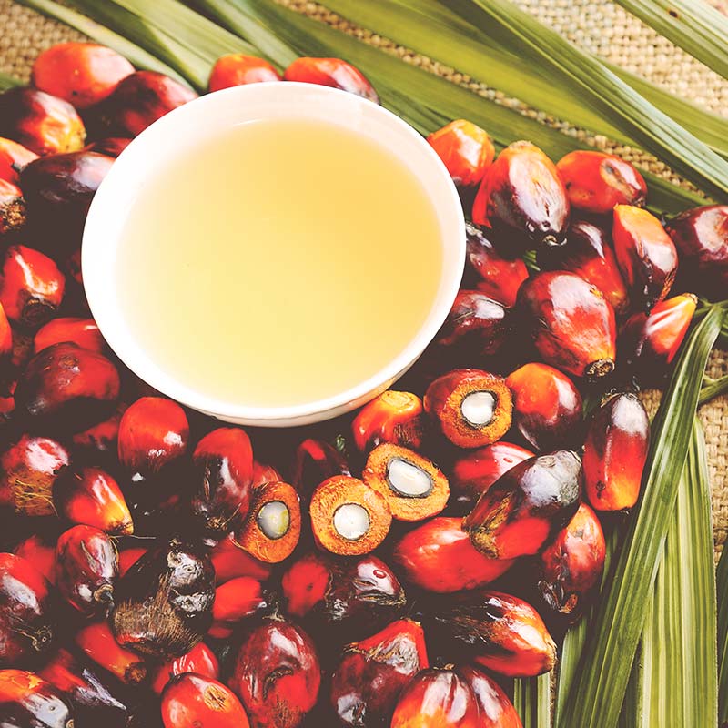 Φρούτα φοίνικα και λάδι σε μπολ