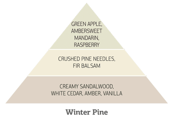 Πυραμίδα αρωμάτων Winter Pine με νότες φρούτων και ξύλου