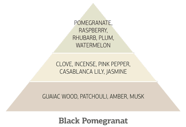 Πυραμίδα αρώματος Black Pomegranate με νότες.